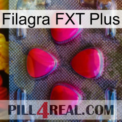 Filagra FXT Plus 13